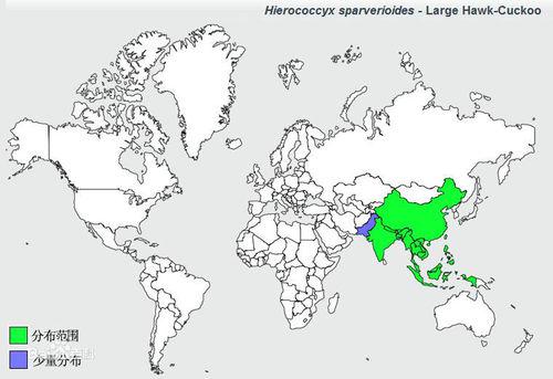 鷹鵑分布圖