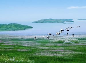 東鄱陽湖國家濕地公園