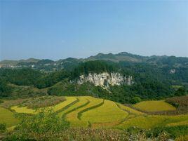 九龍村[貴州遵義綏陽縣寬闊鎮九龍村]