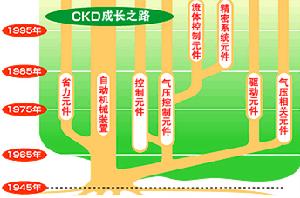 開拓型戰略組織