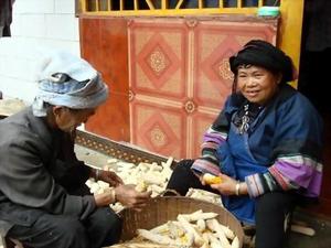 新莊科村圖片集