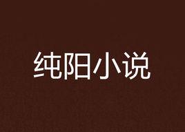 純陽小說