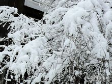 暴雪雪景