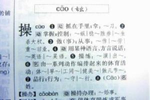 （圖）在《現代漢語詞典》里，對“操”字的解釋，沒有侮辱的意思