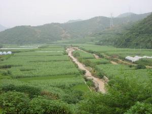 羊毛沖村[雲南省玉溪市峨山縣化念鎮下轄村]