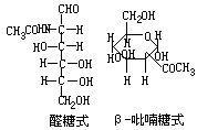 乙醯已糖胺