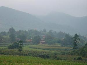 半個箐村[雲南昆明市廠口鄉下轄村]