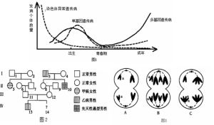 多基因遺傳