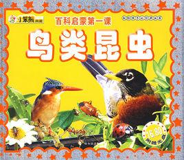 鳥類昆蟲