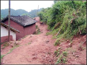 進村道路