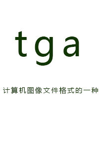 tga[計算機圖像檔案格式的一種]