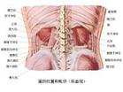 中毒性腎病