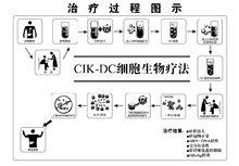 總膽固醇偏高