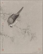 劉萬鳴花鳥作品系列