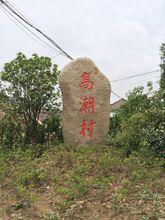 高潮村[江蘇省無錫市惠山區陽山鎮高潮村]