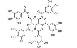 1,2,3,4,6-O-五沒食子醯葡萄糖分子結構式