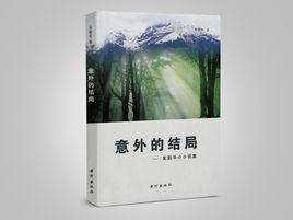 意外的結局[吳新華小小說集]