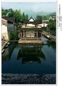 蒼坡村[浙江省永嘉縣岩頭鎮轄村]