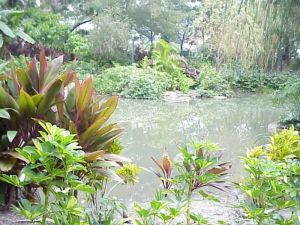 清水灣郊野公園