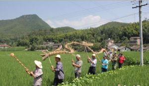 村民舞起稻草龍