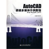 《AUTOCAD橋樑多媒體實例教程》