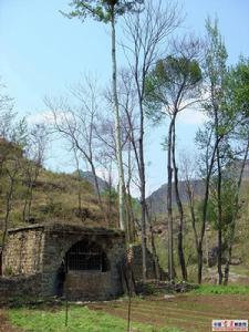 獅子坪[河北省平山縣景點]