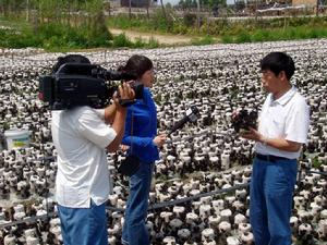 中央電視台採訪報導劉永昶