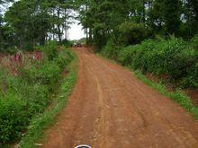 進村道路