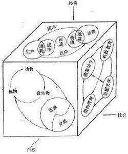 社會經濟系統