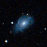 IC 1731