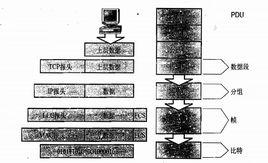 數據段