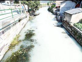 牛奶河[雲南昆明受污染河流]