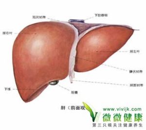 酒精性肝硬化