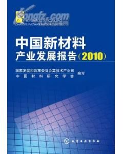 《中國新材料產業發展報告（2010）》