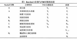 （圖）檢查指數