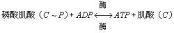 高能磷酸化合物