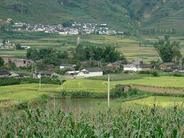 松林自然村[雲南省保山昌寧縣漭水鎮沿江村委松林自然村]