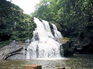 四面山森林公園