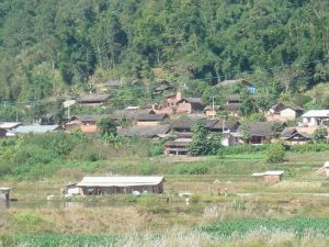 老金田自然村