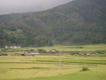 陽塘村[雲南省梁河縣河西鄉下轄村]