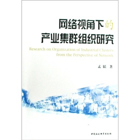 網路視角下的產業集群組織研究