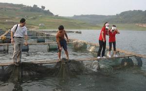 圖3 丹江口鱤魚養殖基地