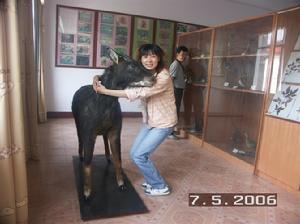 吉首大學動物標本館