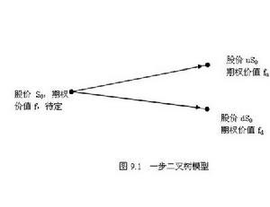 股票指數期權分析圖