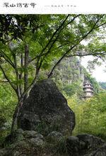 永定撫市東華山