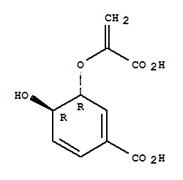 分支酸