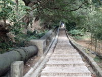 （圖）草山水道系統大水管與水管路步道