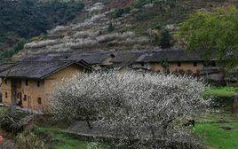 花山村[雲南省昭通鎮雄縣花山鄉花山村委會]