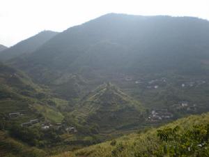 鄉村全景