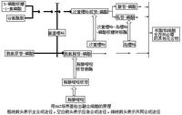 體細胞遺傳學